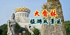 屄毛视频中国浙江-绍兴大香林旅游风景区
